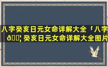 八字癸亥日元女命详解大全「八字 🐦 癸亥日元女命详解大全图片」